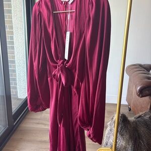Elegant Burgundy Dress